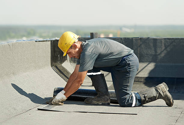 Best Commercial Insulation in Montrose, VA