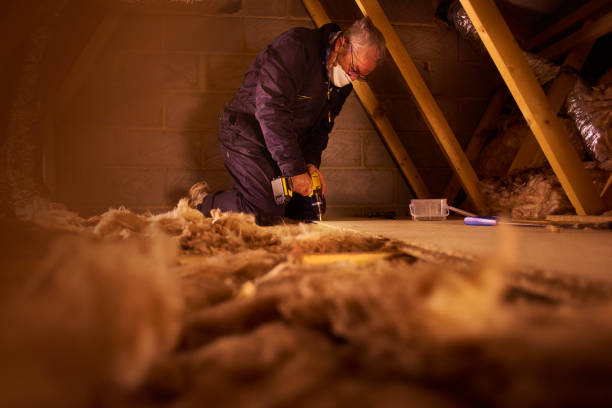 Types of Insulation We Offer in Montrose, VA